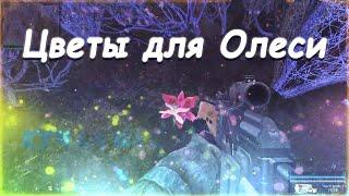 S.T.A.L.K.E.R. В Аду... "ПСЫ" Где искать цветы по заданию Олеси