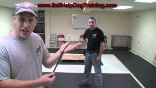 How to Handle a Light Line - Self Help Dog Training (k9-1.com)