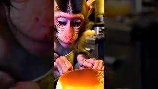 Hilarious Monkey Baking Adventures in Modern Kitchen!