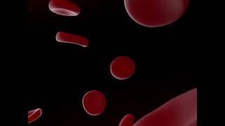 Looping blood cell medical animation