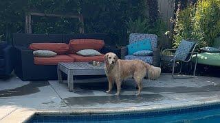 Pool time with Adria and Oatmeal!
