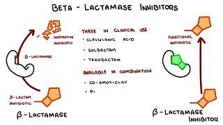 Penicillin antibiotics - Mechanism of action, side effects and resistance