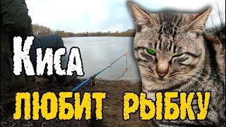 8я РЫБАЛКА весной 2019. РЫБНАДЗОР?! Накормили кошку рыбкой! Удочка с поплавком и донка #OmskFish