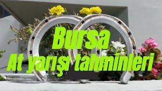 10 Şubat 2025 Pazartesi Bursa At yarışı tahminleri , Horse Turk altılı ganyan