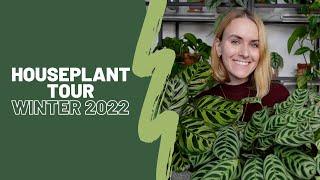 Houseplant tour winter 2022  | Common & rare plants