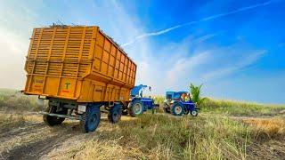 New holland 3630 2 tractor | one trolley sugarcane loading ️