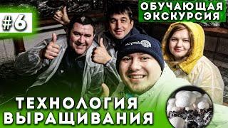 #6 Выращивание Шампиньонов | Обучающая Экскурсия | Бизнес в Гараже