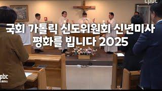 국회가톨릭 신도회 미사2025 ㆍ평화를빕니다.자막편집