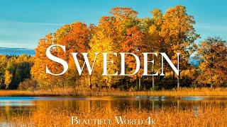 Sweden 4K Autumn Aerial Film - Calming Piano Music - Natural Landscape