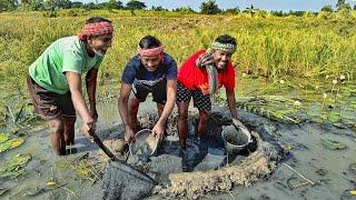 পুরনো দিনের সেই স্মৃতি, আবার ও ফিরে আসলো,মাঠে লাফা বানিয়ে মাছ ধরা new fishing video