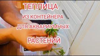 Теплица для аквариумных растений из контейнера в домашних условиях