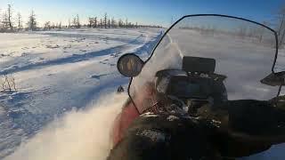 Ski-doo Expedition 1200 4-tec tundra