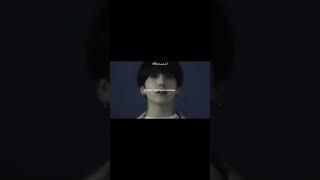 #harun #jungkook #bts