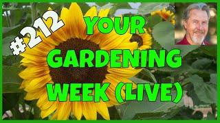 How to Save Money Gardening (Q&A)