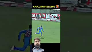 cricket amazing fielding