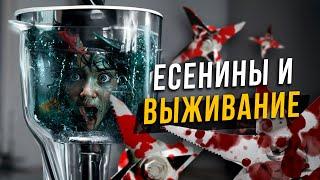 Есенины и выживание. Cоционика