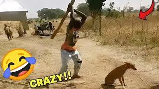 Try Not To Laugh Challenge Compilation | Crazy Funniest Videos | Extreme Funny Videos & Pranks 2025