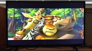 Opening To Shrek 2 2004 VHS