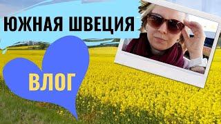 ЮЖНАЯ ШВЕЦИЯ И ЭКЗАМЕН ПО ШВЕДСКОМУ: 6 ЧАСОВ АДА! ВЛОГ.