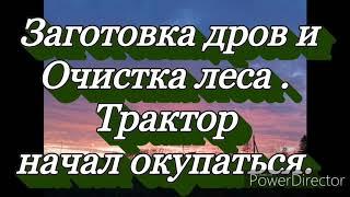 Заготовка дров и очистка леса.