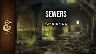 Sewers | Adventure Ambience | 1 Hour #dnd