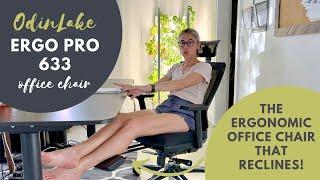 Odinlake Ergo Pro 633 Ergonomic Office Chair Review