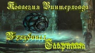 Skyrim.Коллегия Винтерхолда.В глубинах Саартала