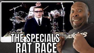 First Time Hearing | The Specials - Rat Race Reaction