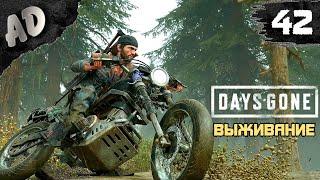 ЭКСПЕРИМЕНТ САРЫ Прохождение Days Gone Жизнь После на Русском #42