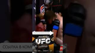 Я заберу его прозвище! Даниял Т 34 Мурад Гулиев #shorts #mma #боибезправил