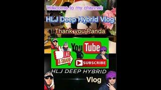 Thank you Panda @HLJ Deep Hybrid Vlog