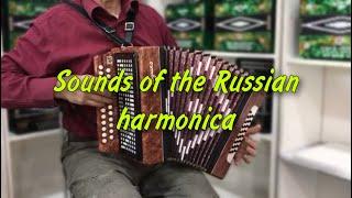 Great melodies for the soul - Sounds of the Russian harmonica