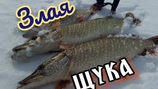 РЫБАЛКА  2020. щука на спиннинг в марте. В ПОИСКАХ ТРОФЕЯ