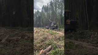 Работа лесозаготовительного комплекса#Volvo#Ponsse#forest#logging#Russia#working