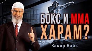 ММА и бокс разрешены в Исламе? Закир Найк