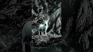Beauty of Middle Earth #hobbit #lotr #shorts #shortsvideo #shortvideo #short #middleearth #new