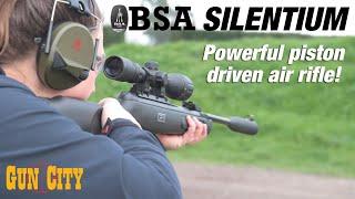 BSA Comet Evo Silentium Air Rifle - Review *Backyard Bash*