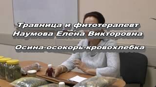 Осина, осокорь, кровохлебка. Наумова Елена Викторовна