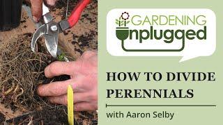 Gardening Unplugged - How to divide dormant perennials with Aaron Selby
