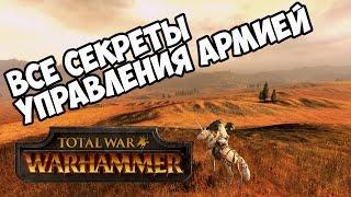 Управление армией  Total War Warhammer