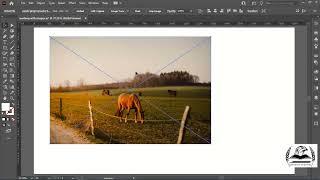 How to Linked, Packages & Embed Images in Adobe Illustrator cc