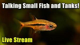 [LIVE]  Joanna and Eli Tank Small Fish and Tanks + Fish Q&A!