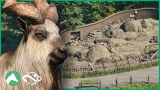 Building a MARKHOR Habitat in the Elm Hill City Zoo! | Planet Zoo