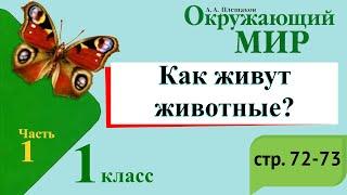 Как живут животные? Окружающий мир. 1 класс, 1 часть. Учебник А. Плешаков стр. 72-73