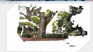 Point Cloud Construction from Stereo Image Pair Demonstration