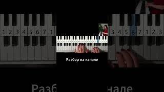 Сидим с бобром за столом на пианино #какиграть #фортепиано