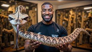 UNBOXING A VENOMOUS RHINO VIPER!!!