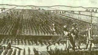 The_Colony_of_South_Carolina__Founded_in_1663.flv