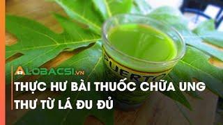 Thực hư bài thuốc chữa ung thư từ lá đu đủ