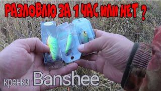 Воблеры BANSHEE. РАЗЛОВЛЮ ЗА 1 ЧАС или НЕТ ? )) Короткая рыбалка на спиннинг. Ноябрь 2020.